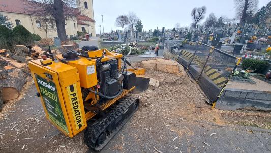 Kácení a frézování pařezů na hřbitově v Bílovicích